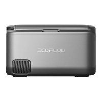 Seitenansicht der Ecoflow-Batterie kühlbox